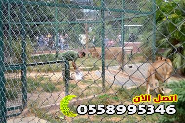 شبوك حماية الحيوانات في السعوديه