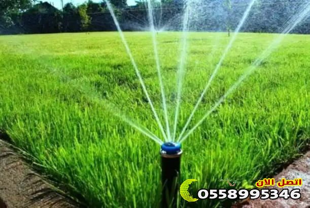 تطور شبكات الري الحديثة في المملكة العربية السعودية.